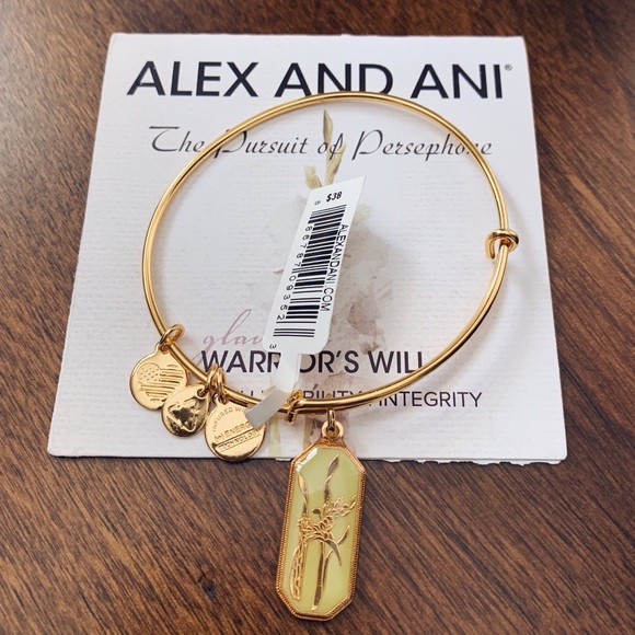 Alex and Ani Jewelry - Alex and Ani Warrior's Will Wire Bangle